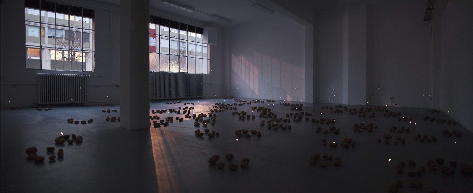 “Isolated Systems Vol.1”. Es ist eine Installation von Esther Mathis aus circa 140 Kartoffelbatterien.