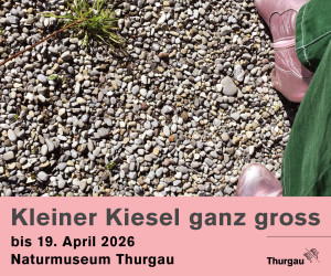 (medium) Naturmuseum: Kiesel III
