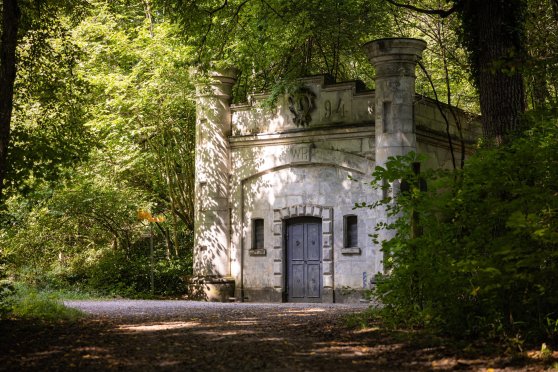 Entdeckungstour im Romanshorner Wald