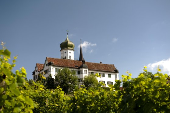 Schloss Herdern - Herbstfest