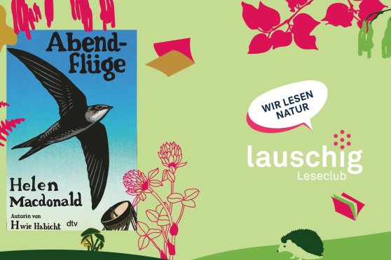 lauschig-Leseclub - Helen Macdonald: «Abendflüge»