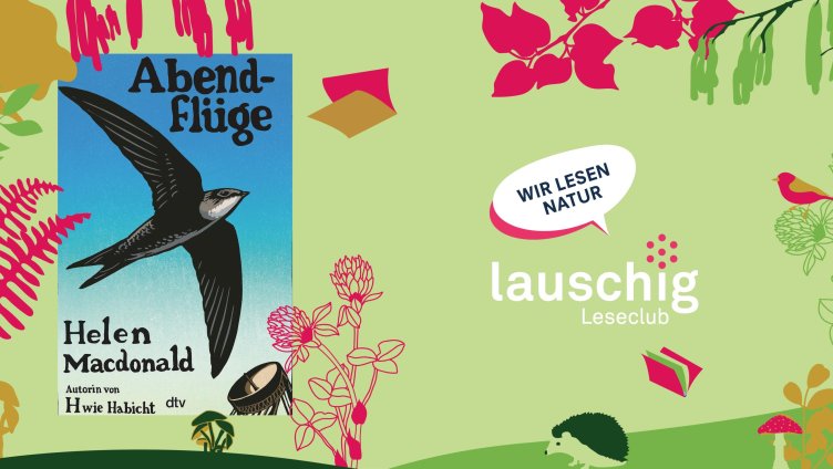 lauschig-Leseclub - Helen Macdonald: «Abendflüge»