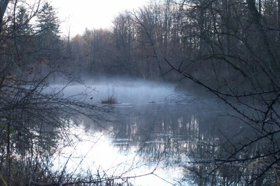 Mit den Aufsehern unterwegs. Es ist Winter im Naturschutzgebiet