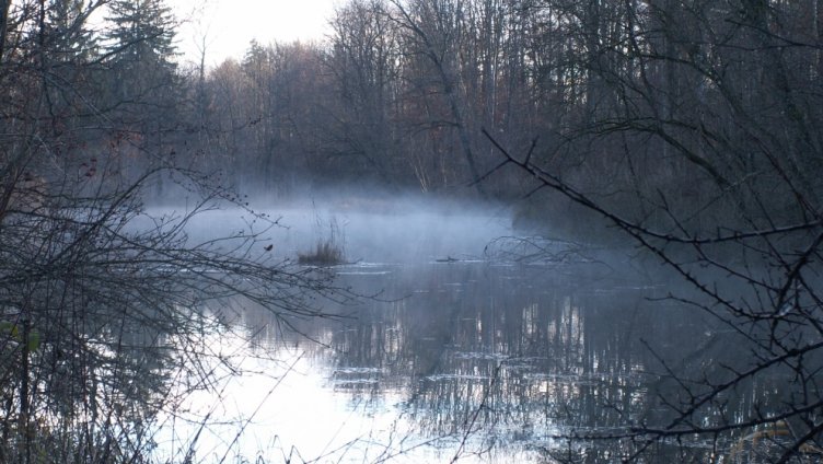 Mit den Aufsehern unterwegs. Es ist Winter im Naturschutzgebiet