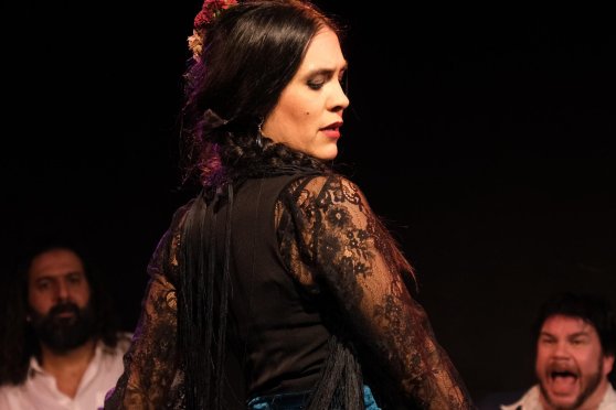 Noche Flamenca, Flamenco Al Golpe