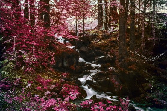 Wald. Pöschelibock, Waldteufel und Laubsack