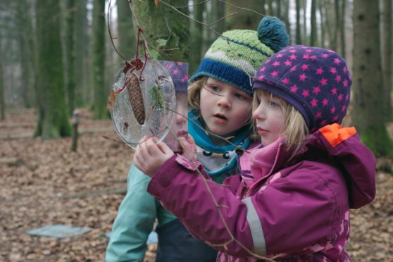 Von Kindern und Bäumen – Ein Jahr in der Waldschule