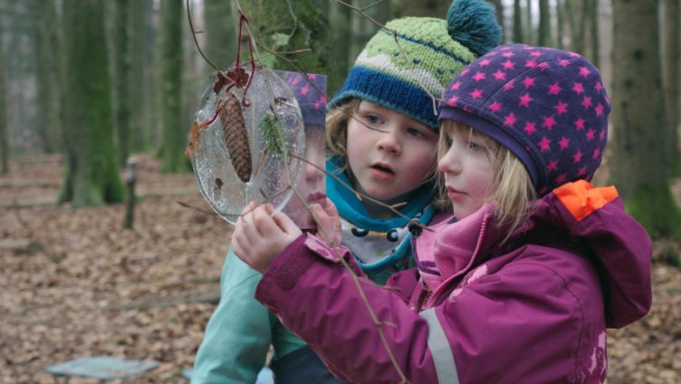 Von Kindern und Bäumen – Ein Jahr in der Waldschule