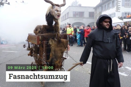 Internationaler Fasnachtsumzug