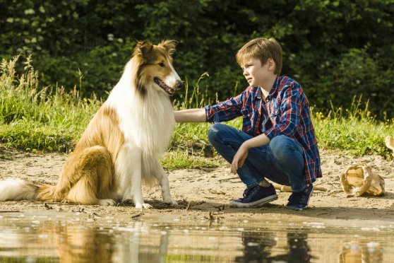 Lassie – Ein neues Abenteuer