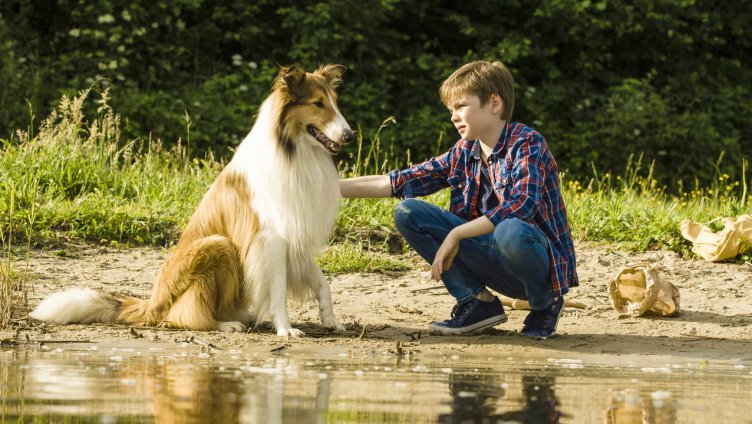 Lassie – Ein neues Abenteuer