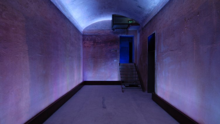 THE VIEW Contemporary Art Space