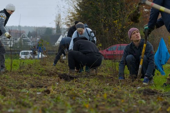 Natur verbindet – Heckenpflanzung auf dem Pferdebetrieb in Weingarten