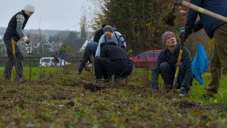 Natur verbindet – Heckenpflanzung auf dem Pferdebetrieb in Weingarten