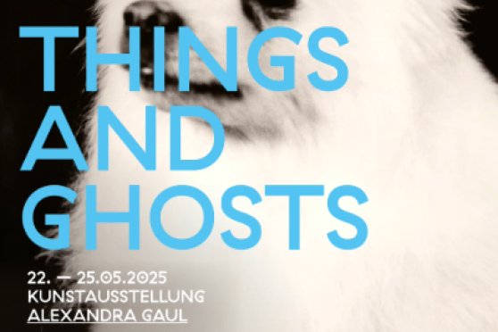 Alexandra Gaul - Things and Ghosts
