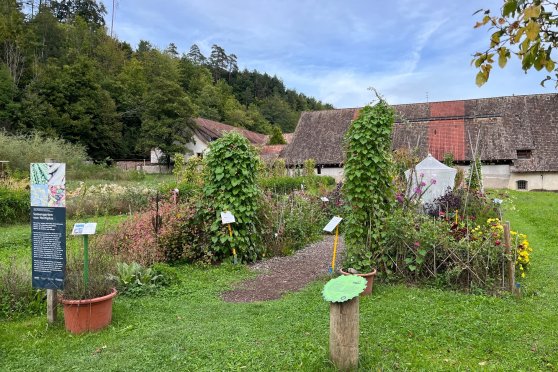 Öffentliche Führung durch den Samengarten Hortiplus