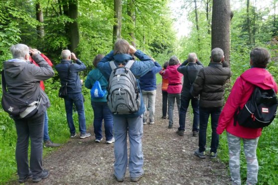 Die Stunde der Gartenvögel mit dem NVS Meise Arbon