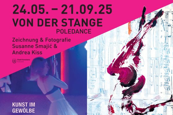 Von der Stange. Poledance