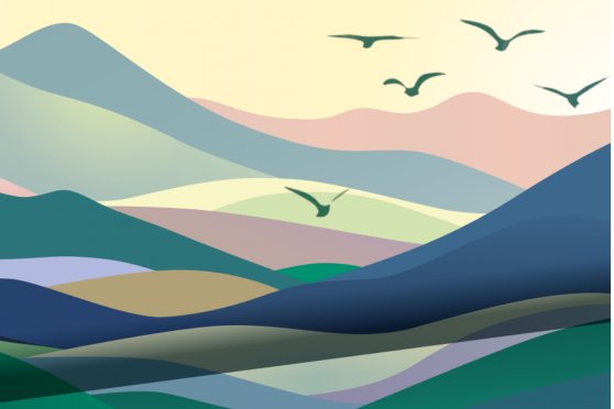 Bodenseefestival 2025 - «Freiheit»
