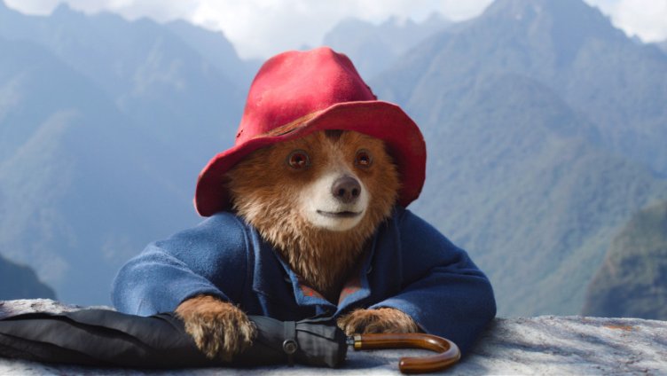 Paddington in Peru