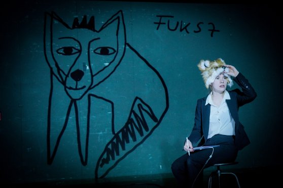 Fuchs 8