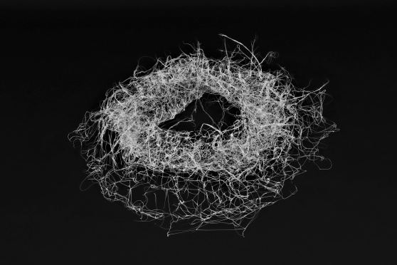 Über die Verhältnisse