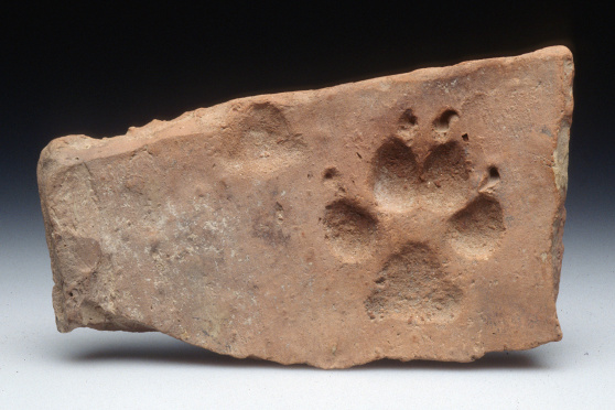 Ein Griff in die archäologische Geschichtenkiste – Bauen und Gebäude