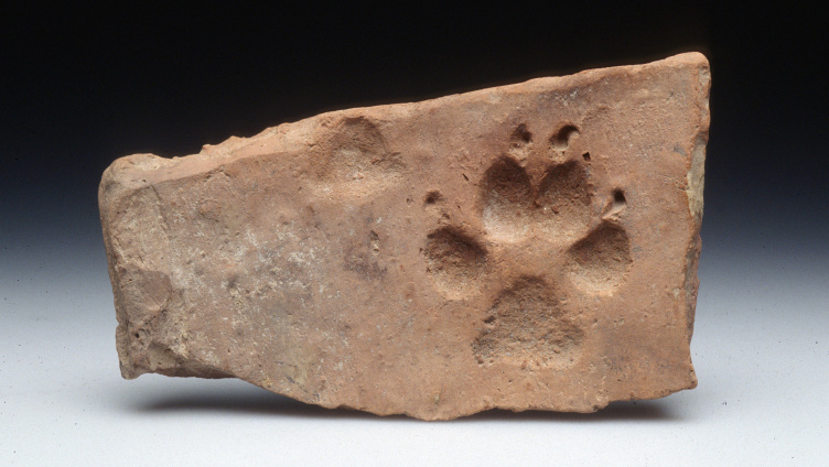 Ein Griff in die archäologische Geschichtenkiste – Bauen und Gebäude