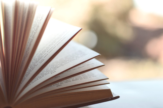 Literaturkreis im Bodmanhaus