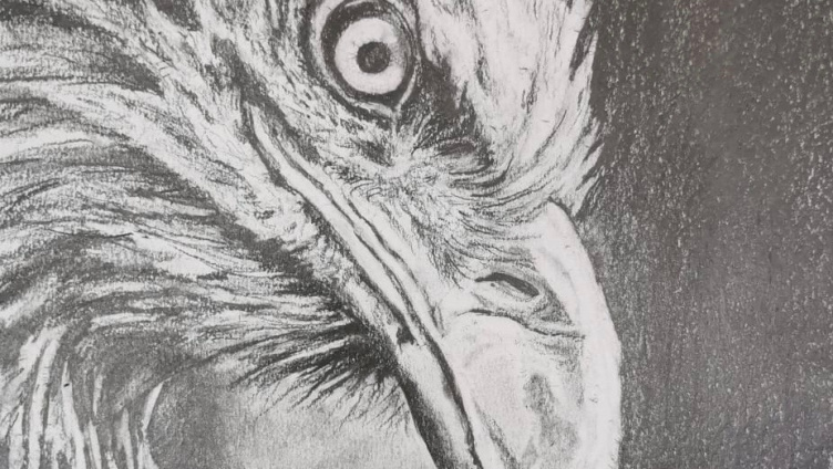 Zeichnen lernen - Schritt für Schritt