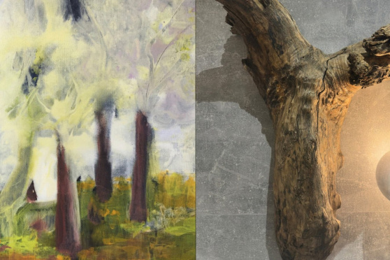 Schein und Sein von Marlies Gemperle und Roger Rothenbacher