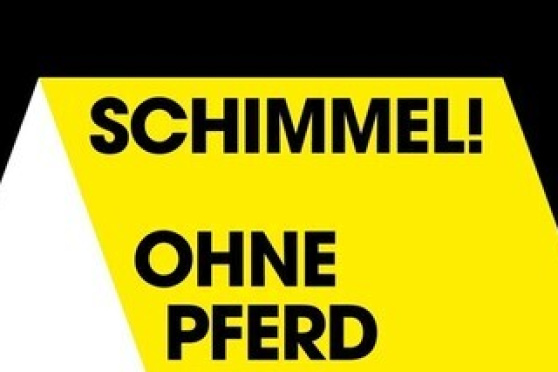 Schimmel! Ohne Pferd und ohne Reiter