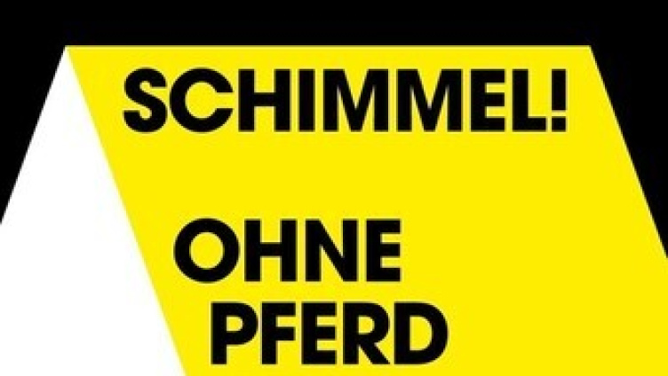 Schimmel! Ohne Pferd und ohne Reiter