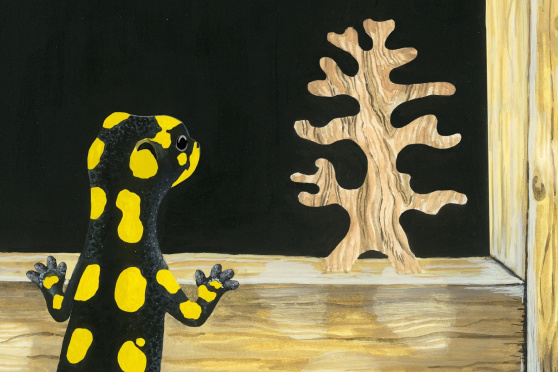 Annina Arter: The Salamander Room