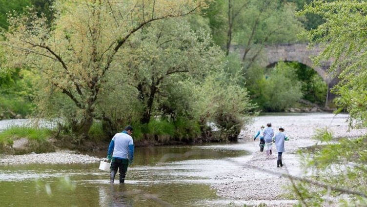 Clean-Up-Day in Frauenfeld