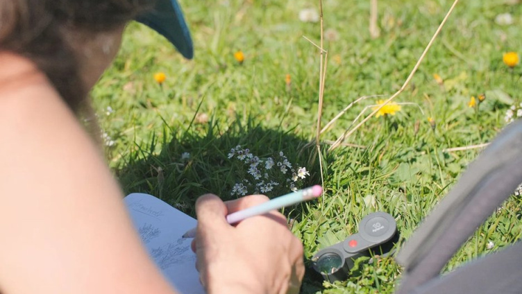 Pflanzen-Exkursion: Heilpflanzen in der Natur begegnen