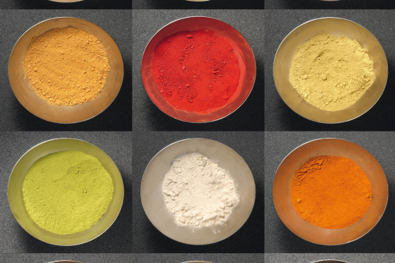 Staubgefässe - Farben der Vergänglichkeit