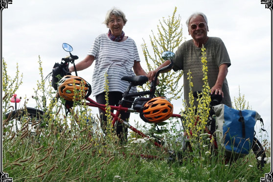 Ich will auch 100 Jahre alt werden – Tipps, Tricks, Flops, Musik