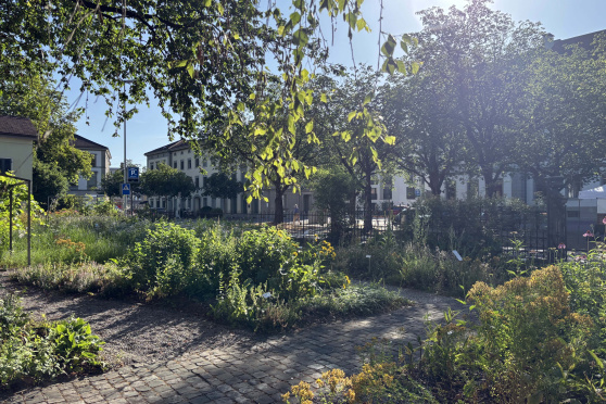 Vom Gartenbeet aufs Zvieribrot