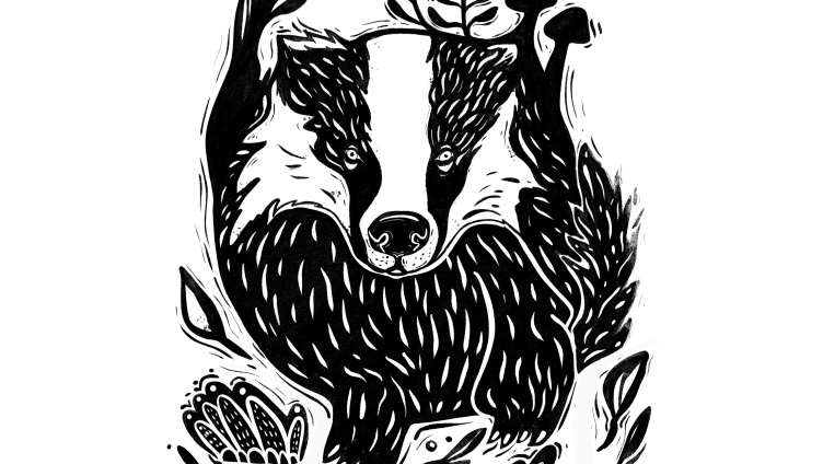 Sonderausstellung ‹Wow … ein Dachs!›