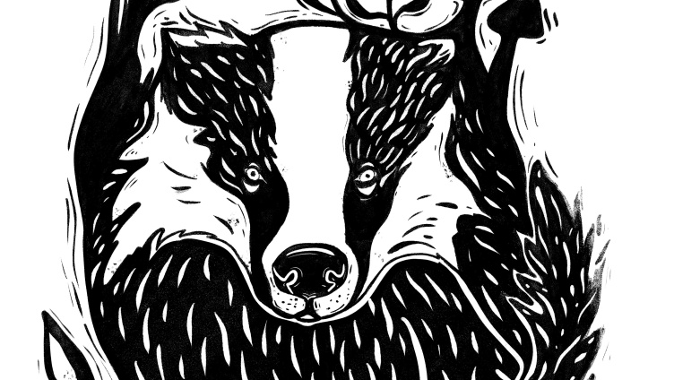 Grimbarts geheimnisvolles Leben