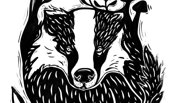 The mysterious life of the badger