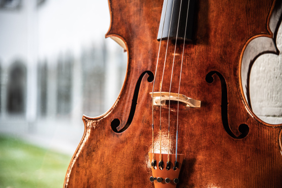 Klassifest mit der Bodensee Philharmonie