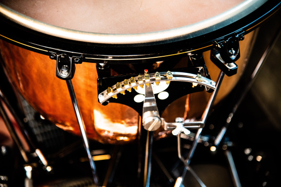 Konstanzer Musikfestival mit der Bodensee Philharmonie