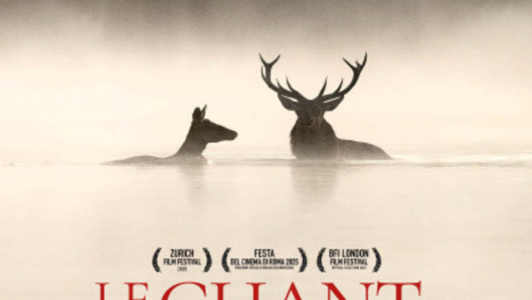 Le chant des forêts