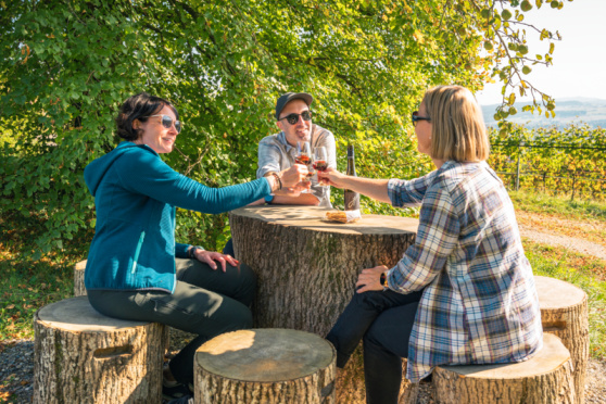 Kunst & Wein am Iselisberg