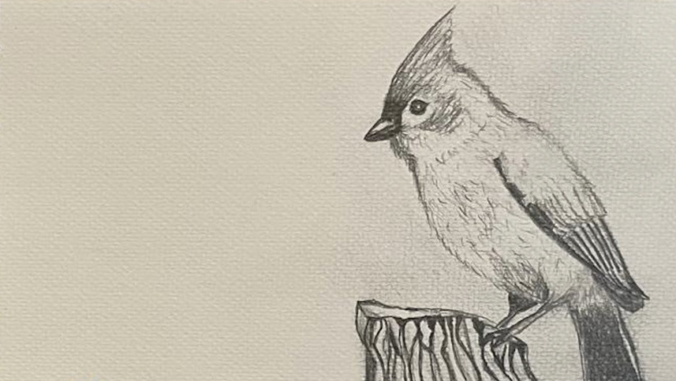 Vogelexkursion am Ottenberg