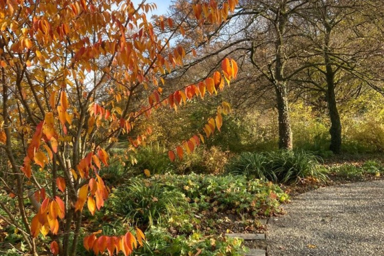 Der Zentralfriedhof – Ort der Ruhe und des Lebens