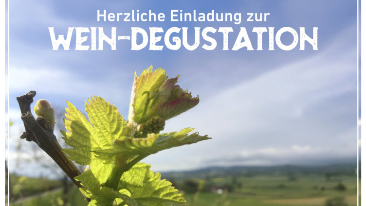 Einladung zur Weindegustation mit gemütlichem Beizli