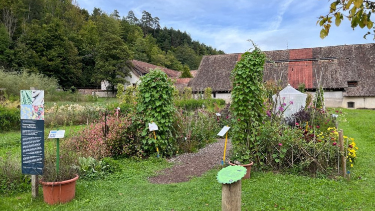 Öffentliche Führung durch den Samengarten Hortiplus